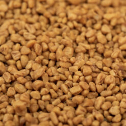 oligatto çekirdek kum