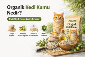 Organik Kedi Kumu Nedir? Doğal Kedi Kumu Seçimi
