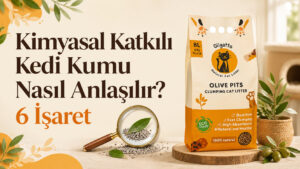 Kimyasalsız Kedi Kumu Nasıl Anlaşılır?